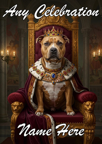 Nai85 staffie king prince - king,