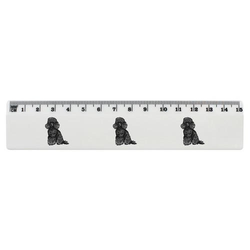 Black toy poodle - toy, white