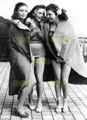 Photo joan collins co keep - collins,
