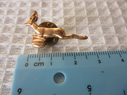 Springboks gazelle south - springboks,