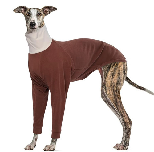 Whippet jumper for lurcher - whippet,