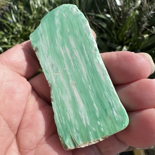 Variscite part polished - variscite,