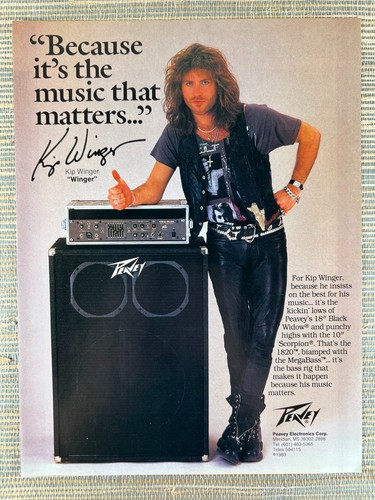 Peavey 1820 black widow - peavey,