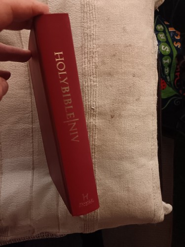 Niv bible new international - niv,