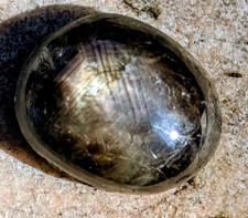 5.70ct Star Sapphire 11x9