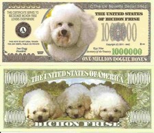 Bichon Frise Dog Puppy Lovers