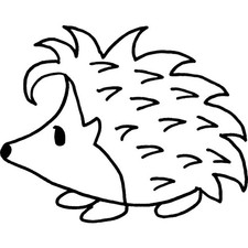 'Cute Hedgehog' Unmounted