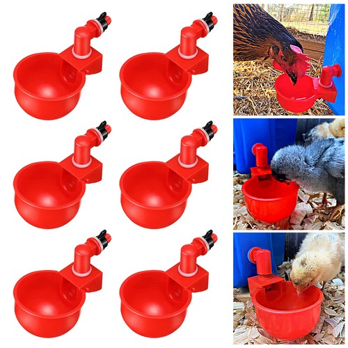 Automatic chicken water cup - automatic,