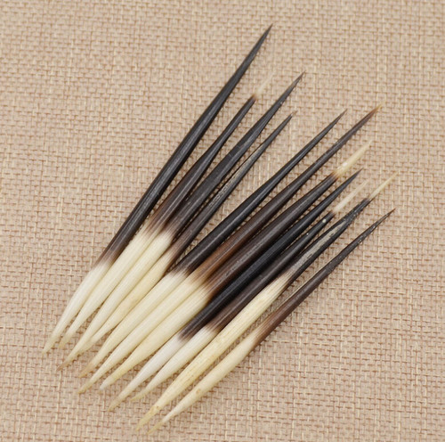 10pcs porcupine quills fishing - 10pcs,