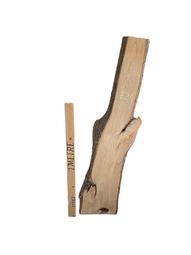 Elm live waney edge - elm,