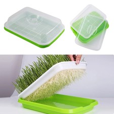 Microgreens Sprouter Tray 2