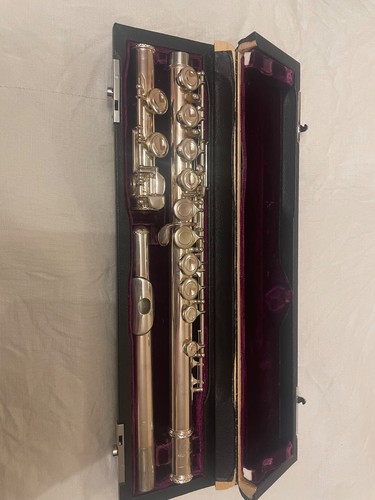 Trevor james 10xe silver - silver, flute