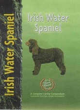 Irish Water Spaniel, Sarah