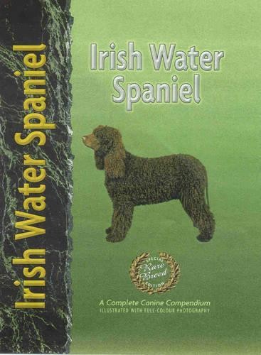 Irish water spaniel - irish,