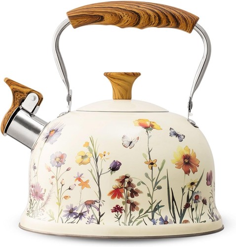 Whistling kettle stainless - whistling,