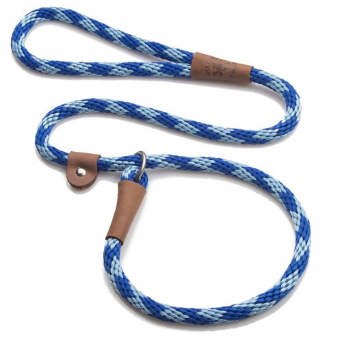 Mendota dog puppy - puppy, leash