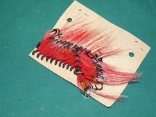 20 new  Allies Shrimp Red &