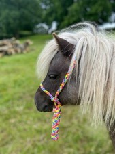 MINI SHETLAND/SHETLAND HALTER