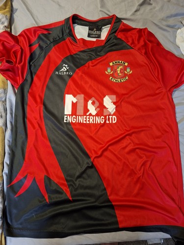 Annan athletic fooball club - annan,