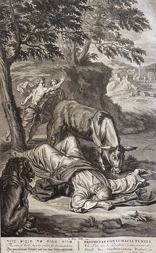 Lion kills the - lion,