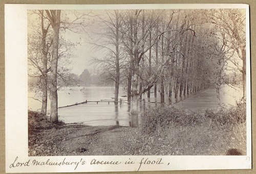 Flooded avenue earl of - flooded,