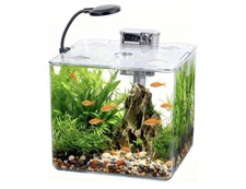 13L Mini Fish Tank Starter Kit