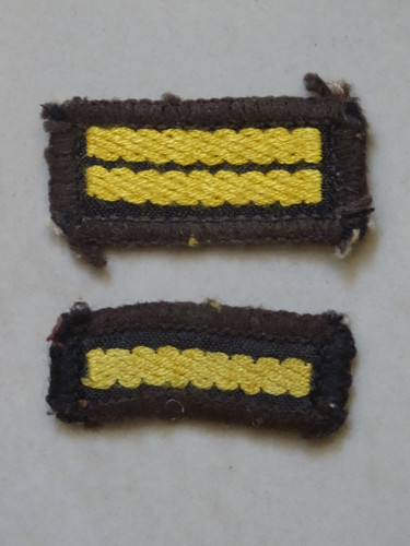 Girl guides brownie sixer - guides,