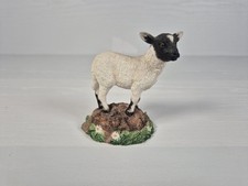 Border Fine Arts Studio James