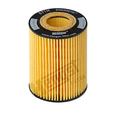 E71h d141 hengst filter - filter, oil