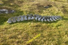 Photo 6x4 Whale vertebrae