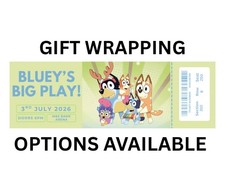 Bluey’s Big Play