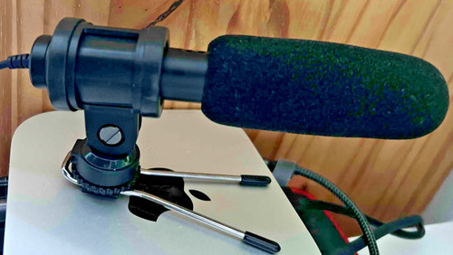 Behringer videomic hotshoe - behringer,
