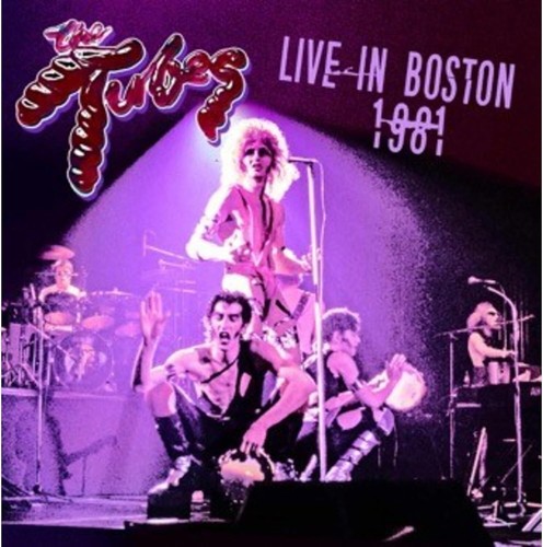The tubes live in - -,