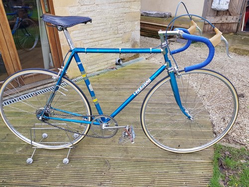 1951 pezzoni with - 1951/53,