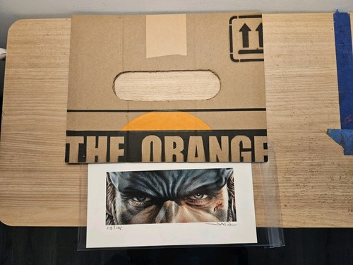 Naked snake card board box - naked,