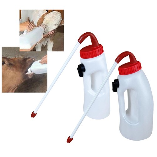 Calf feeder bottle milk - calf,