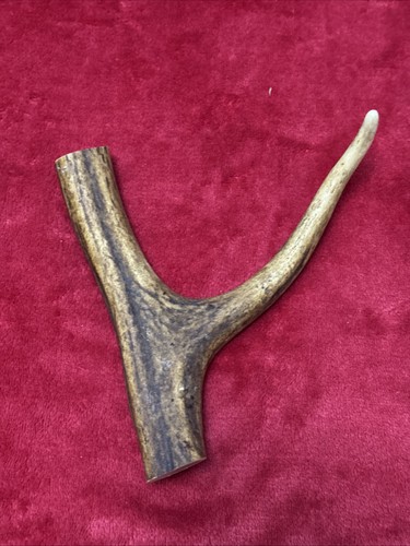 One piece deer antler y - one,