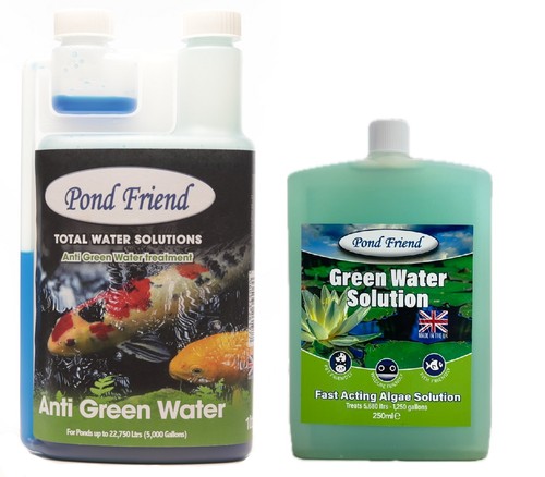 Pond friend green water - friend,