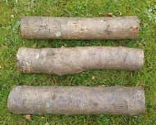 Sweet chestnut logs hardwood