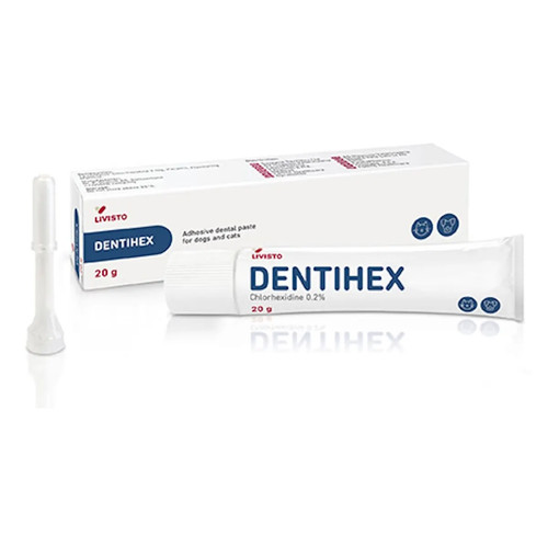 Dentihex adhesive dental - dentihex,