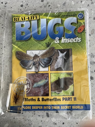 Real life bugs - issue, moths