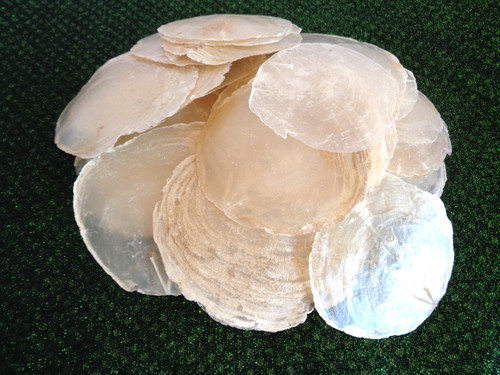 Capiz shells 10 - 40,