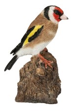 Vivid Arts Goldfinch Bird on Stump Singing Lifelike Garden Ornament Indoor 