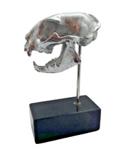 Silver cat skull on marble