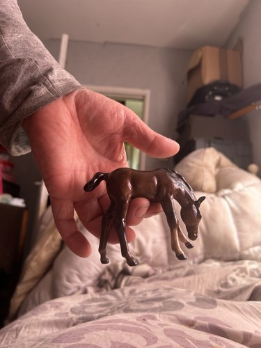 Beswick bay foal - bay,