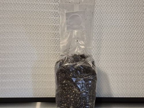 Sterilised cvg mushroom bulk - sterilised,