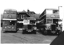 RIBBLE  - LEYLAND LINE UP - BUS PHOTO  #REF.B770