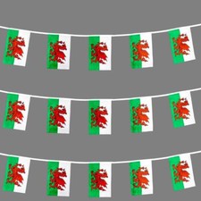 10m Welsh Flags Bunting Welsh