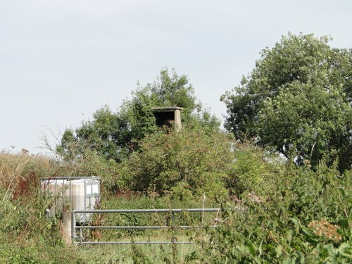 Photo 6x4 relic raf - relic, of