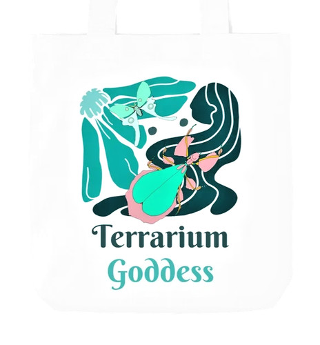 Leaf insect terrarium goddess - insect,